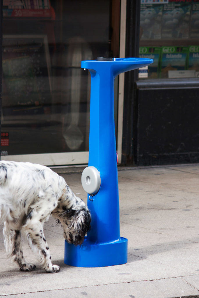 thank you note - drinking hydrant