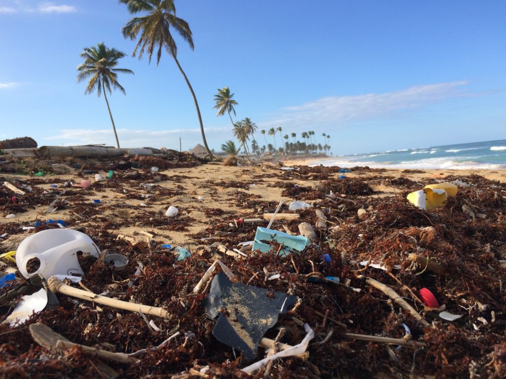 travel- ocean cleanup